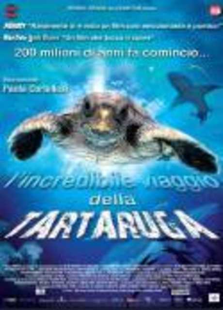 L'incredibile viaggio della tartaruga