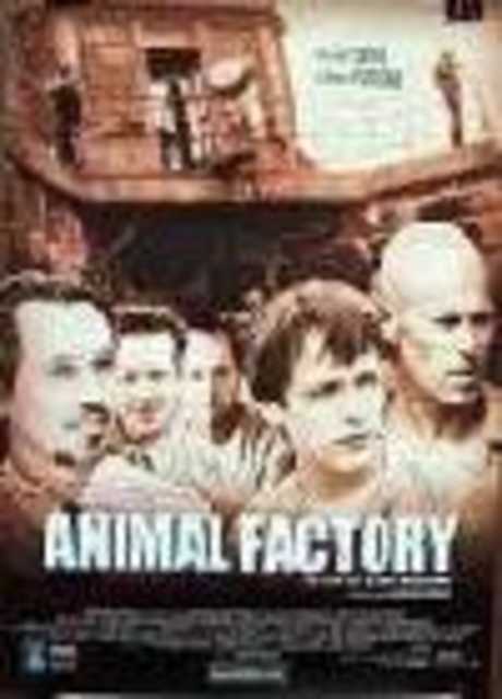 Animal Factory