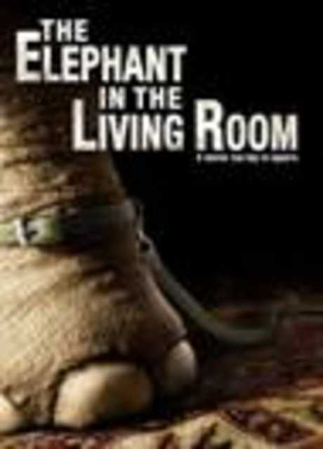 The Elephant in the Living Room