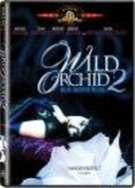 Orchidea selvaggia 2