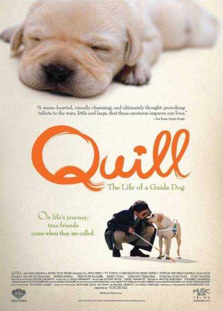 Quill