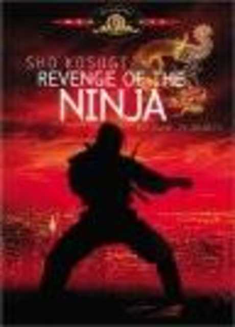 Ninja la furia umana