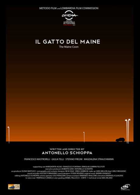 Il gatto del Maine