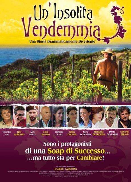 Un'insolita vendemmia