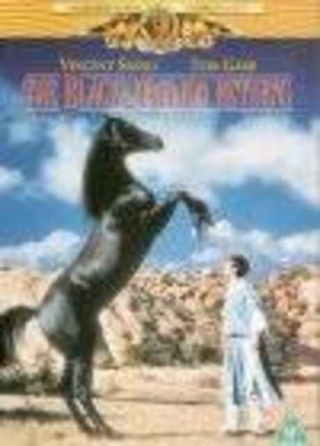 Il ritorno di Black Stallion