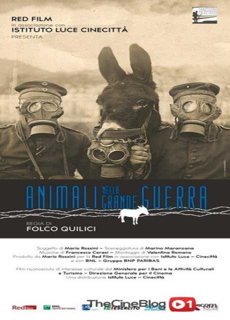 Animali nella Grande Guerra