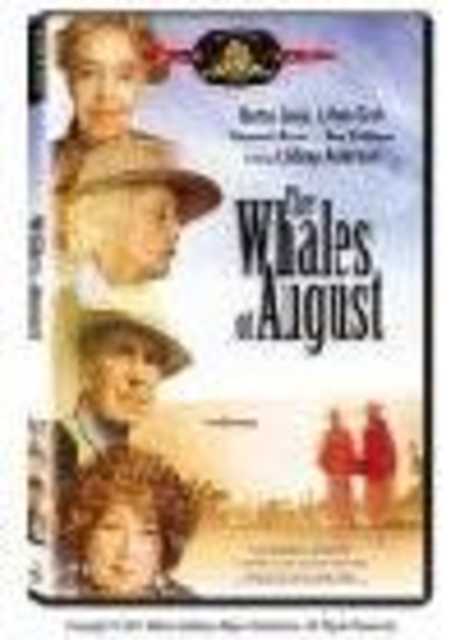 Le balene d'agosto