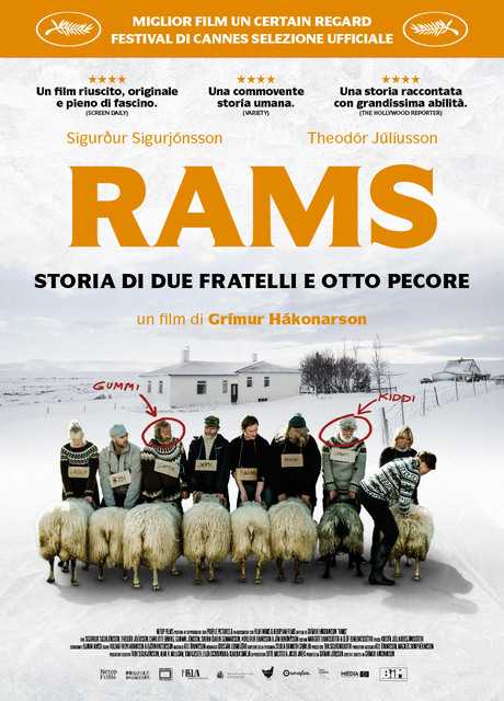 Rams – Storia di due fratelli e otto pecore