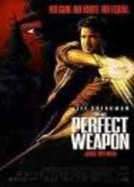 Arma perfetta