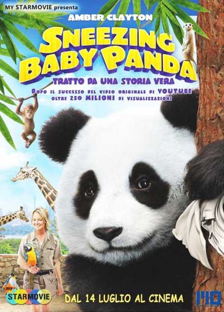 Sneezing Baby Panda