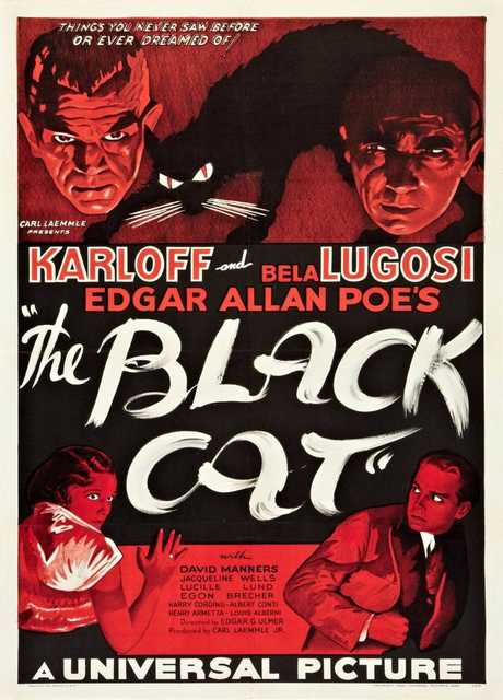 The Black Cat