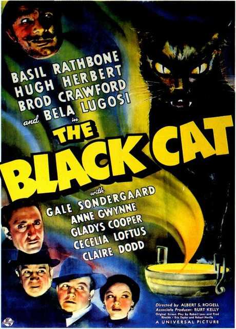 The Black Cat