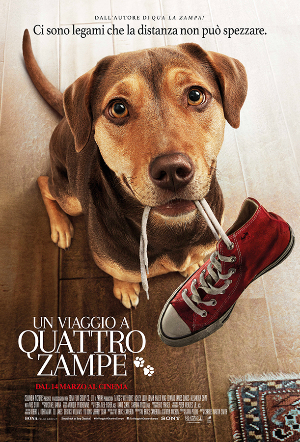 Recensioni del film Un viaggio a quattro zampe ScreenWEEK Recensioni del film Un viaggio a quattro zampe ScreenWEEK