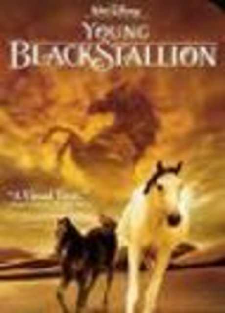The Young Black Stallion (IMAX)