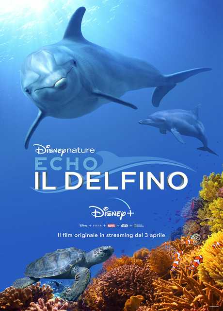 Echo, Il Delfino