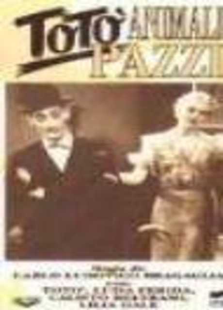 Animali pazzi