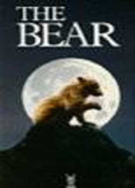 L'orso