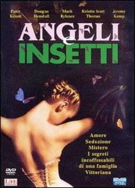 Angeli e insetti