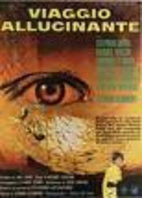 Allucinante notte per un delitto