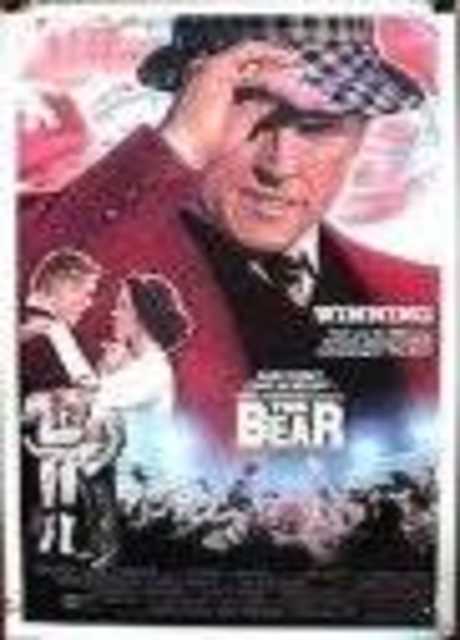 The Bear