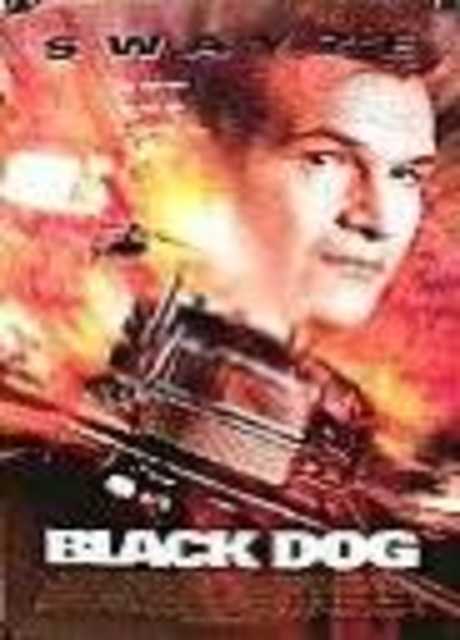Black Dog