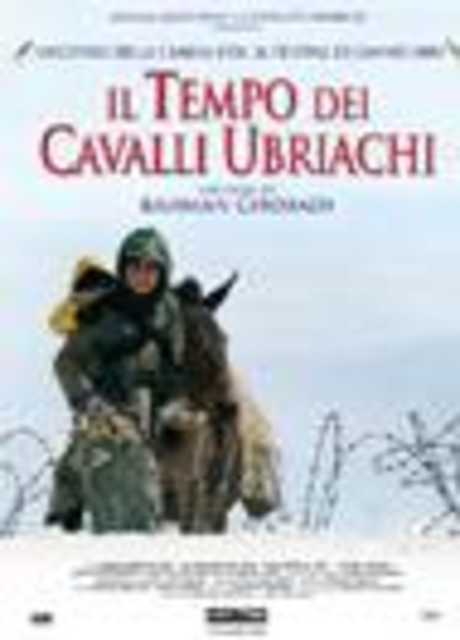 Il Tempo dei Cavalli Ubriachi