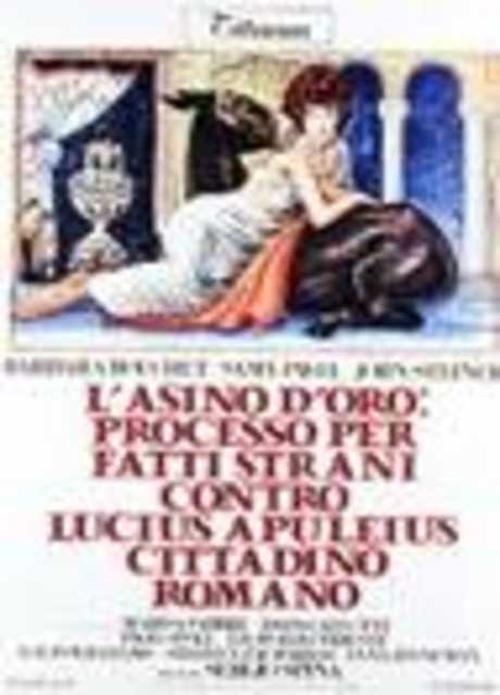 L'asino d'oro: processo per fatti strani contro Lucius Apuleius cittadino romano