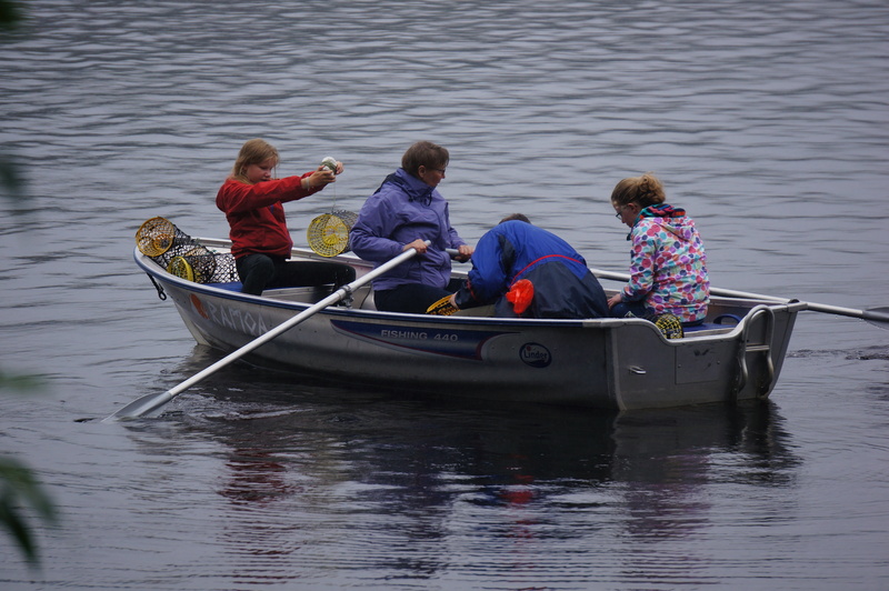 Kräftfiske för familjen
