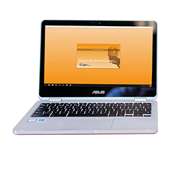 MagniLink ChromeViewer