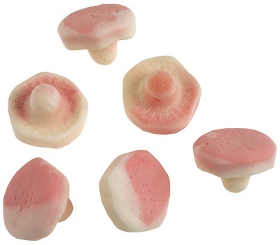 FRUKTSVAMPAR - 1,8 kg /