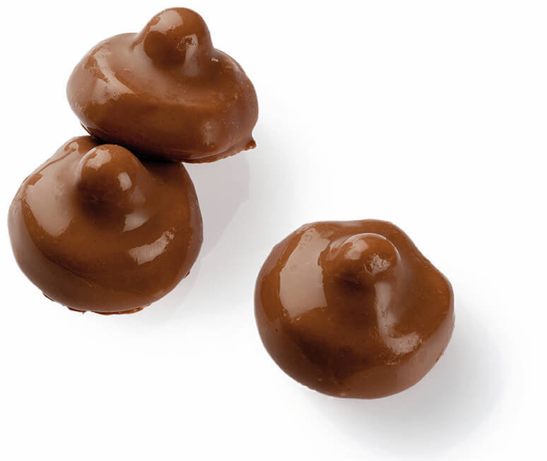CHOKLADSVAMP - 2,2 kg KARTONG /