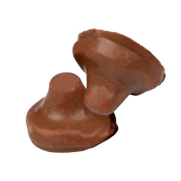 CHOKLADSVAMP FRANSSON - 1,2 kg /