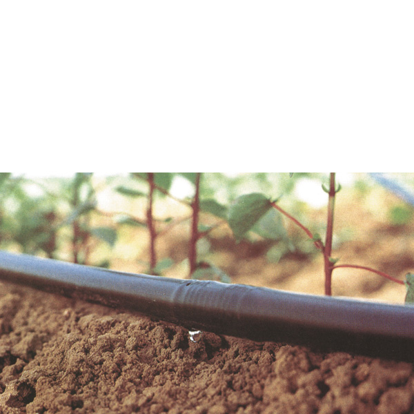 Netafim droppslang Uniram HCNL, för substratodling