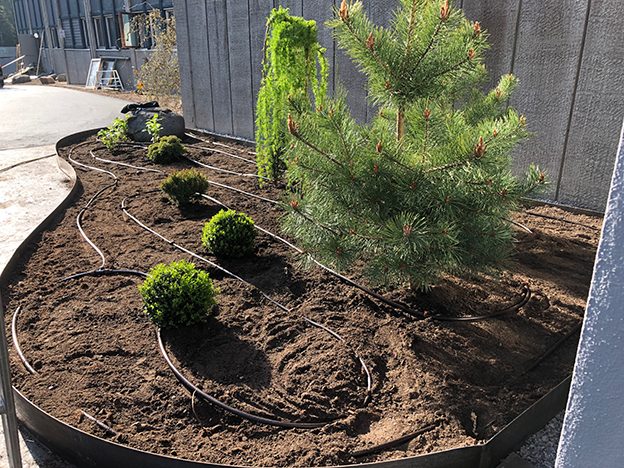 Dags att plantera!