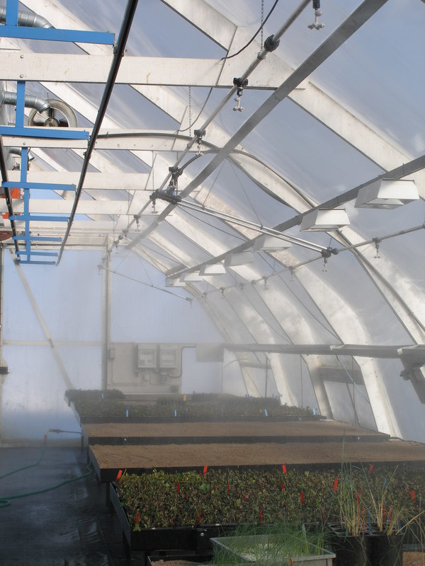 Kylning växthus Kylning och befuktning i växthus. Coolnet Pro både sänker temperaturen och fuktar växterna på samma gång.