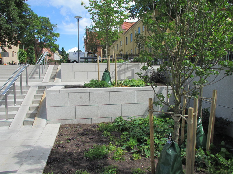 Bevattningspåsar runt träd