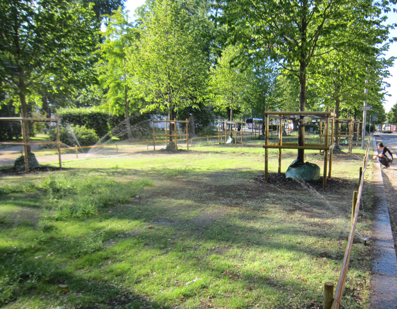 Tree-gator bevattningspåsar Treegator bevattningspåsar som extra stöd vid nyplantering