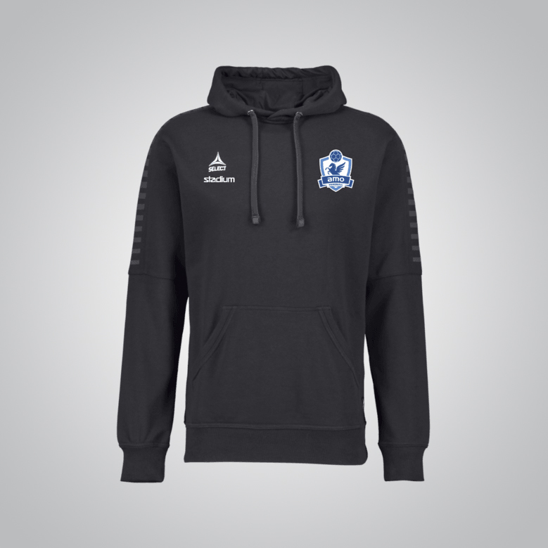 Torino Hoddie 499 kr