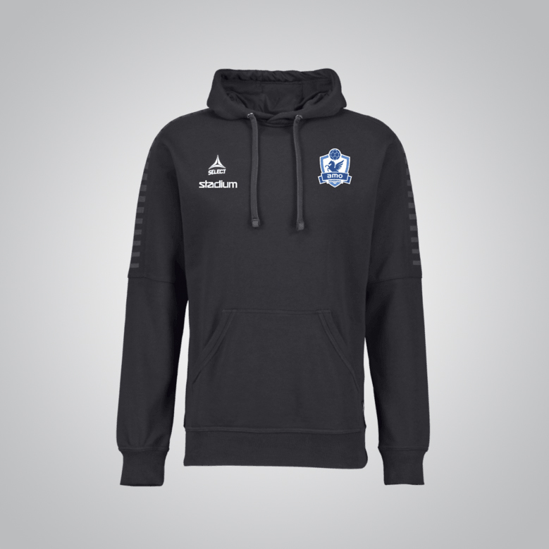Torino Hoodie Junior 499 kr