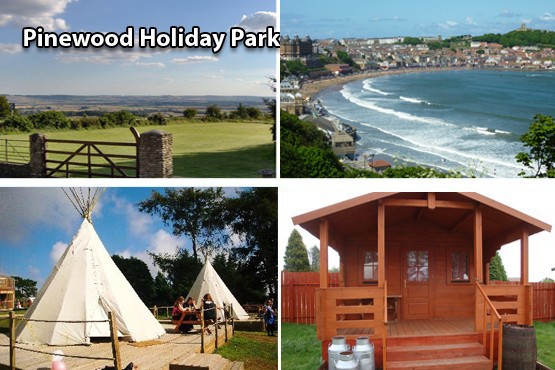 £59 instead of £140 for a 2 nt glamping in either a tipi or cowboy camping shack for up to 4 with Pinewood Holiday Park, Scarborough – save 58%