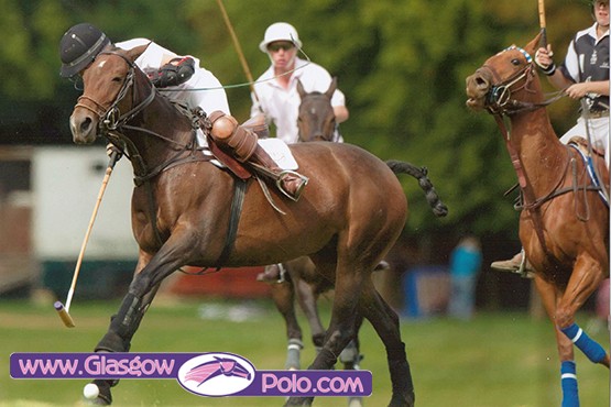 polo glasgow
