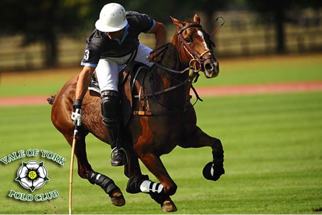 £25 instead of £80 (at The Vale of York Polo Club) for two 60 minute polo lessons suitable for riders of all abilities  – save 69%