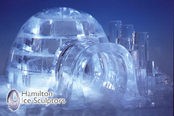£59 instead of £150 for a half day ice sculpting masterclass, or £100 for 2 people at Hamilton Ice Sculptors, Earlsfield – save up to 61%
