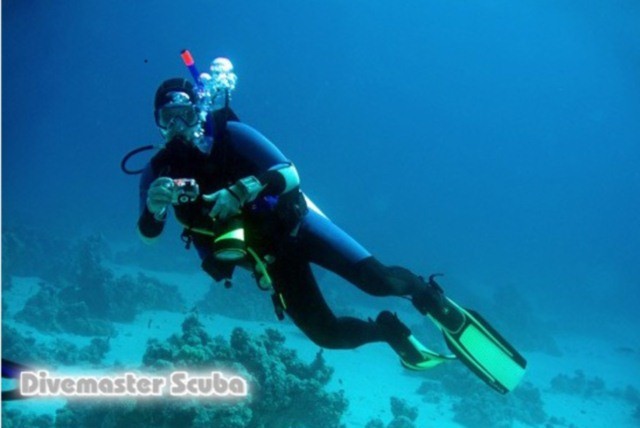£9 for a 2hr scuba diving lesson for 2 or £25 for a 2hr lesson for 2 with a dive propulsion vehicle at Dive Master Scuba - save up to 64%