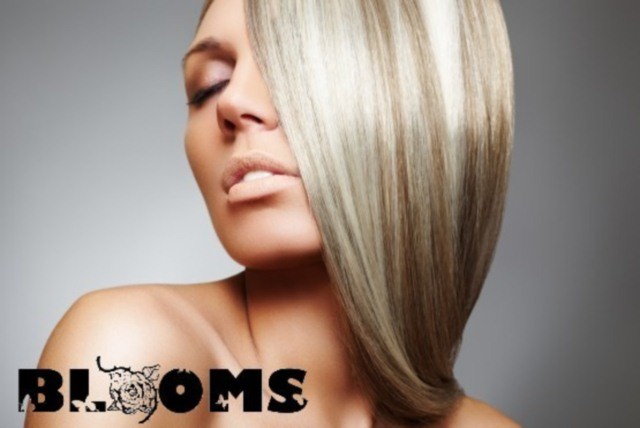 £37 instead of £135 for a half head of highlights, a wash, cut, deep conditioning treatment & blow dry finish at Blooms Hair – save 73% 