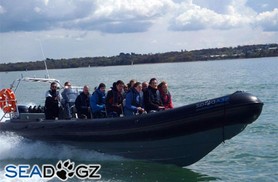 £22 instead of £55 for a 90 minute high speed boat ride on an RIB in the Solent – get your pulse racing & save 60%
