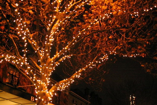 £10 instead of £34.95 (from Gadgets & Products) for a 10 metre string of solar powered fairy lights with 100 LED bulbs – save a de-light-ful 71%