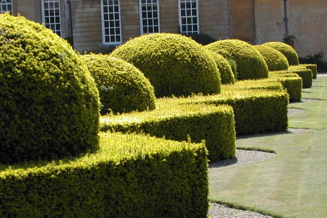 £24 instead of up to £48 for a coach tour of Blenheim Palace and the Cotswolds with Golden Tours - save up to 50%
