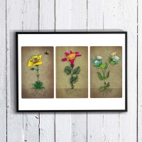 Cat art print - Feline Flora on I Love Markets