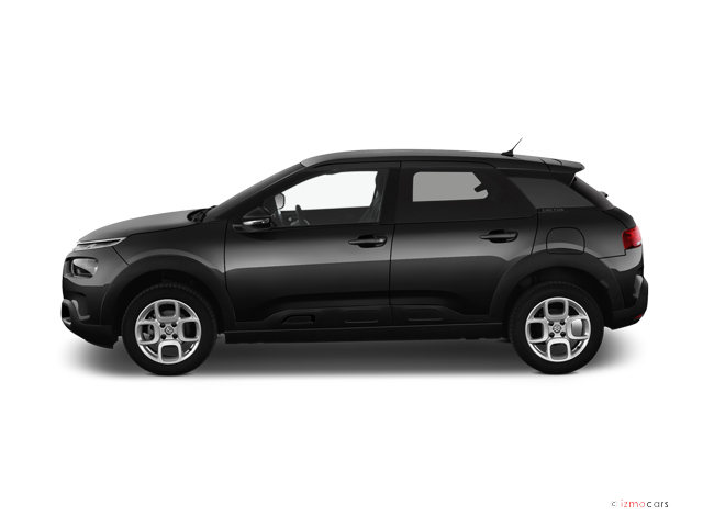 Citroen C4 Cactus Business 2018 En Vente A Evreux 27 En Stock